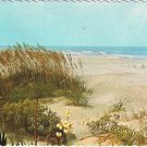 Postcard South Carolina's Sea Islands