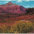 Arizona Postcard Oak Creek Canyon Grey Mountain Coffee Pot Rock Flowers