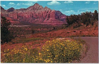 Arizona Postcard Oak Creek Canyon Grey Mountain Coffee Pot Rock Flowers