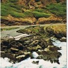 Oahu Hawaii Postcard Blow Hole Natural Sea Geyser