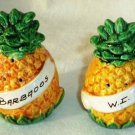 Pineapple Salt & Pepper Shakers Barbados West Indies Caribbean