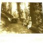 Northern Telcom Calendar 1990 Quality Old Sepia Transportation Photos