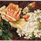 Christmas Postcard Roses Daisies Stewart & Woolf Series651 VINTAGE