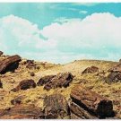 Arizona Postcard Petrified Forest National Monument