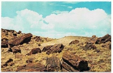 Arizona Postcard Petrified Forest National Monument