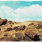 Arizona Postcard Petrified Forest National Monument