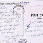 Florida Postcard Hollywood Beach Johnson St Sunbathers