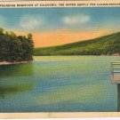 Pennsylvania Postcard Chambersburg Impounding Reservoir At Caledonia Water