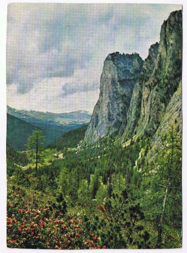 Germany Postcard Long Valley bel Selva Wolkenstein Dolomites