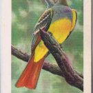 Brooke Bond Red Rose Tea Card #9 Crested Flycatcher Canadian American Songbirds