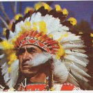 Native Americana Postcard Indian Chief Big Cloud