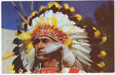 Native Americana Postcard Indian Chief Big Cloud