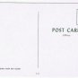 Native Americana Postcard Indian Chief Big Cloud