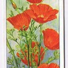 Wills Cigarette Card Garden Flowers #20 Californian Poppy Fireglow Eschscholtzia