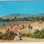 Greece Postcard Asteria Beach Bathing Suits