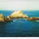 California Postcard San Francisco Seal Rocks