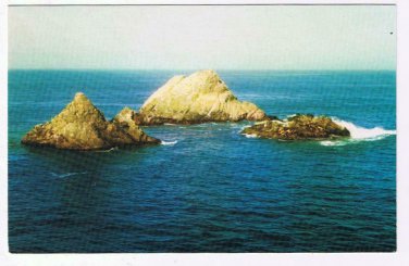 California Postcard San Francisco Seal Rocks
