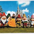 Florida Postcard Orlando Disney World Snow White & 7 Dwarfs