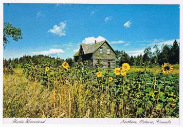 Ontario Postcard Northern Ontario Rustic Homestead Sunflowers