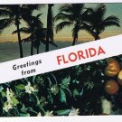 Florida Postcard Greetings Palm Trees & Oranges