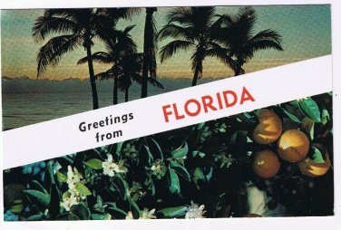 Florida Postcard Greetings Palm Trees & Oranges