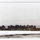 Nunavut Canada Laminated Postcard RPPC Eskimo Walrus On Ice Pan