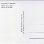 Nunavut Canada Laminated Postcard RPPC Eskimo Walrus On Ice Pan