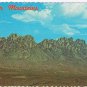 New Mexico Postcard Las Cruces Organ Mountains