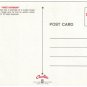 Ontario Postcard Forest Playground Canadian Bear Cub In Tree