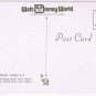 Postcard Walt Disney World Railroad Main Street Magic Kingdom California
