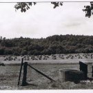 Holland Netherlands Postcard RPPC Lochem Diepe Put Hatstacks Well