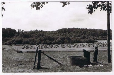 Holland Netherlands Postcard RPPC Lochem Diepe Put Hatstacks Well
