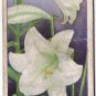 Wills Cigarette Card Garden Flowers #27 Lily Lillium Longiflorum