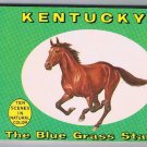 Kentucky Souvenir Photo Booklet Bluegrass State 10 Photos