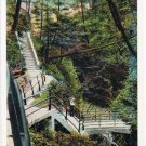 Watkins Glen New York Postcard Stairway to Point Lookout Curteich A-52124 1913