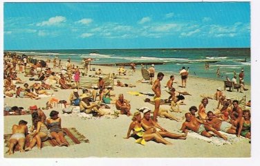 Florida Postcard Sunbathing On The Beach People