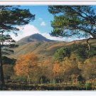 United Kingdom UK Postcard Autumn In Glen Affric