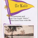 Postcard Fun I'm Having In DeKalb Good Time New York