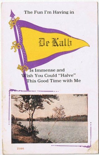 Postcard Fun I'm Having In DeKalb Good Time New York
