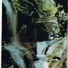 New York Postcard Watkins Glen State Park Rainbow Falls