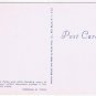 Landscape Postcard Towering Royal Palms Southland