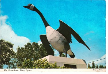Ontario Postcard Wawa Goose On Lake Superior Circle Route