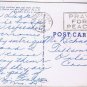 Postcard Burros Make Excellent Pets Imported From Mexico to USA