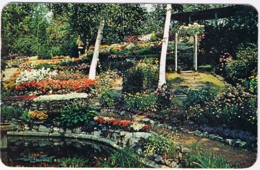 Postcard Beautiful Bell Park Flowers Sudbury Ontario