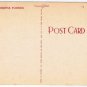 Florida Postcard White Poinsettia