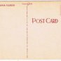 Florida Postcard Red Poinsettia