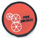 Vintage Wheelchair Swimming Patch Wheelswim Pre Bronze