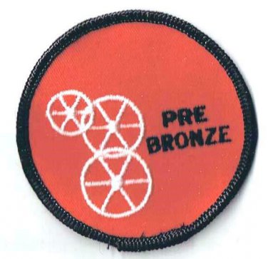 Vintage Wheelchair Swimming Patch Wheelswim Pre Bronze