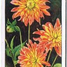 Wills Cigarette Card Garden Flowers #16 Dahlia Baby Royal