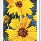 Wills Cigarette Card Garden Flowers #7 Calliopsis Golden Crown